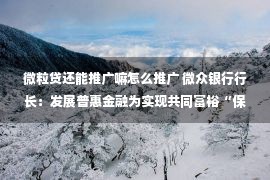 微粒贷还能推广嘛怎么推广 微众银行行长：发展普惠金融为实现共同富裕“保驾护航”