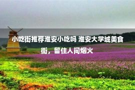 小吃街推荐淮安小吃吗 淮安大学城美食街，留住人间烟火