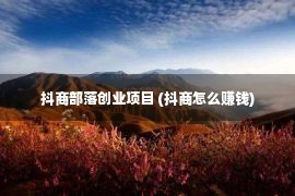 抖商部落创业项目 (抖商怎么赚钱)