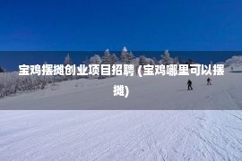 宝鸡摆摊创业项目招聘 (宝鸡哪里可以摆摊)