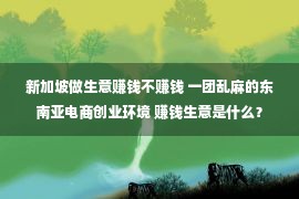 新加坡做生意赚钱不赚钱 一团乱麻的东南亚电商创业环境 赚钱生意是什么？