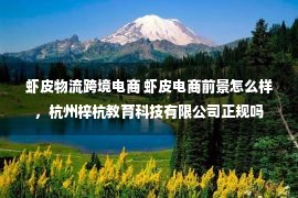 虾皮物流跨境电商 虾皮电商前景怎么样，杭州梓杭教育科技有限公司正规吗