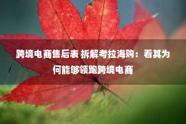 跨境电商售后表 拆解考拉海购：看其为何能够领跑跨境电商