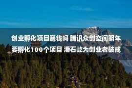 创业孵化项目赚钱吗 腾讯众创空间明年要孵化100个项目 潘石屹为创业者破戒