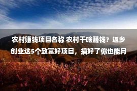 农村赚钱项目名称 农村干啥赚钱？返乡创业这5个致富好项目，搞好了你也能月入过万