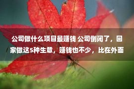 公司做什么项目最赚钱 公司倒闭了，回家做这5种生意，赚钱也不少，比在外面打工强