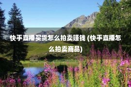 快手直播买货怎么拍卖赚钱 (快手直播怎么拍卖商品)