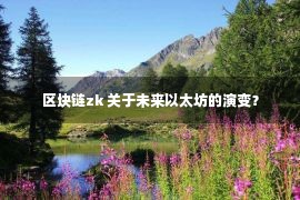 区块链zk 关于未来以太坊的演变？