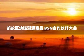 蚂蚁区块链溯源商品 BSN合作伙伴大会