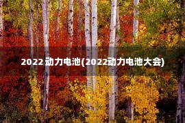 2022 动力电池(2022动力电池大会)