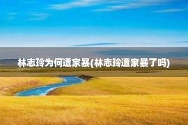 林志玲为何遭家暴(林志玲遭家暴了吗)