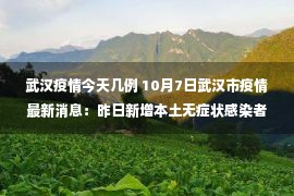 武汉疫情今天几例 10月7日武汉市疫情最新消息：昨日新增本土无症状感染者24例