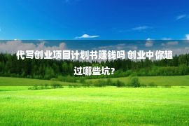 代写创业项目计划书赚钱吗 创业中你趟过哪些坑？