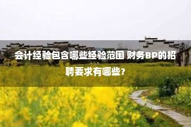 会计经验包含哪些经验范围 财务BP的招聘要求有哪些？