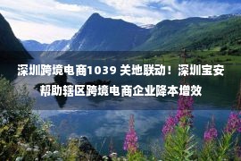 深圳跨境电商1039 关地联动！深圳宝安帮助辖区跨境电商企业降本增效