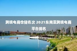 跨境电商仓储名次 2021东南亚跨境电商平台排名