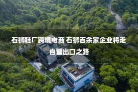 石狮鞋厂跨境电商 石狮百余家企业将走自营出口之路