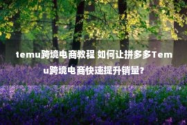 temu跨境电商教程 如何让拼多多Temu跨境电商快速提升销量？