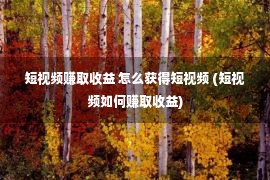 短视频赚取收益 怎么获得短视频 (短视频如何赚取收益)