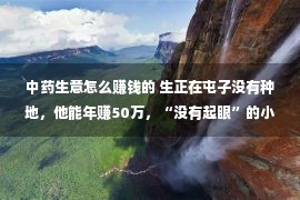 中药生意怎么赚钱的 生正在屯子没有种地，他能年赚50万，“没有起眼”的小买卖也能赚大钱