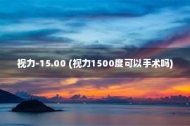 视力-15.00 (视力1500度可以手术吗)