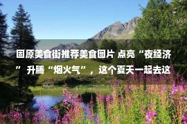 固原美食街推荐美食图片 点亮“夜经济” 升腾“烟火气”，这个夏天一起去这些“gai”逛逛吧