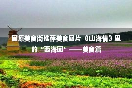 固原美食街推荐美食图片 《山海情》里的“西海固”——美食篇