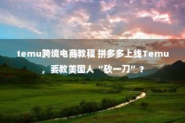 temu跨境电商教程 拼多多上线Temu，要教美国人“砍一刀”？