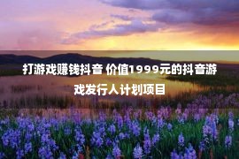 打游戏赚钱抖音 价值1999元的抖音游戏发行人计划项目