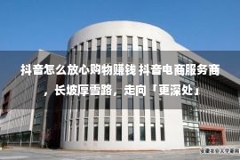 抖音怎么放心购物赚钱 抖音电商服务商，长坡厚雪路，走向「更深处」