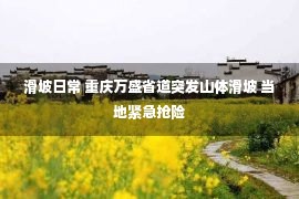 滑坡日常 重庆万盛省道突发山体滑坡 当地紧急抢险