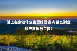 晚上在家做什么生意好赚钱 有甚么副业顺应黄昏放工做？