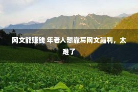 网文能赚钱 年老人想靠写网文赢利，太难了