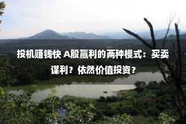 投机赚钱快 A股赢利的两种模式：买卖谋利？依然价值投资？