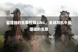 最赚钱的生意视频 LNG，全球危机中最赚钱的生意