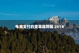 电商支付的变革趋势图 2018