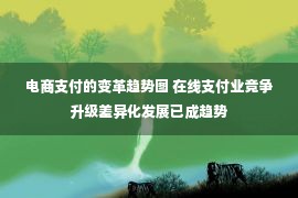 电商支付的变革趋势图 在线支付业竞争升级差异化发展已成趋势