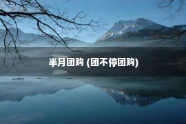 半月团购 (团不停团购)