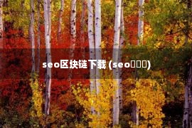 seo区块链下载 (seo鎺掑悕)