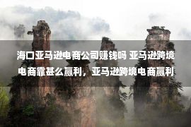 海口亚马逊电商公司赚钱吗 亚马逊跨境电商靠甚么赢利，亚马逊跨境电商赢利轻易吗