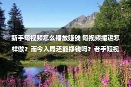 新手短视频怎么播放赚钱 短视频搬运怎样做？而今入局还能挣钱吗？老手短视频搬运操作教程