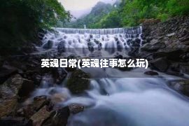 英魂日常(英魂往事怎么玩)