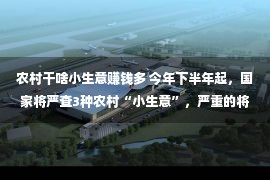 农村干啥小生意赚钱多 今年下半年起，国家将严查3种农村“小生意”，严重的将会被处罚