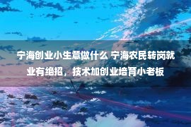 宁海创业小生意做什么 宁海农民转岗就业有绝招，技术加创业培育小老板