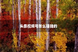 头条视频号怎么赚钱的 