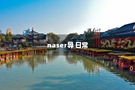 naser导 日常