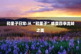 和果子日常:从“和果子”感受四季流转之美