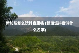 新加坡怎么玩抖音赚钱 (新加坡抖音叫什么名字)