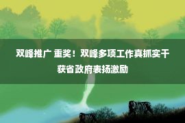 双峰推广 重奖！双峰多项工作真抓实干获省政府表扬激励