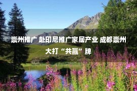 崇州推广 赴印尼推广家居产业 成都崇州大打“共赢”牌